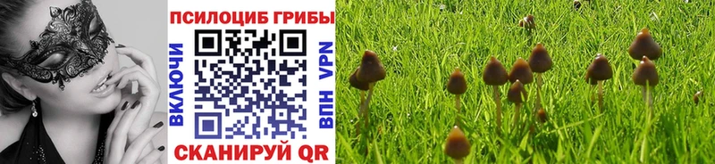 Галлюциногенные грибы GOLDEN TEACHER  Болхов 
